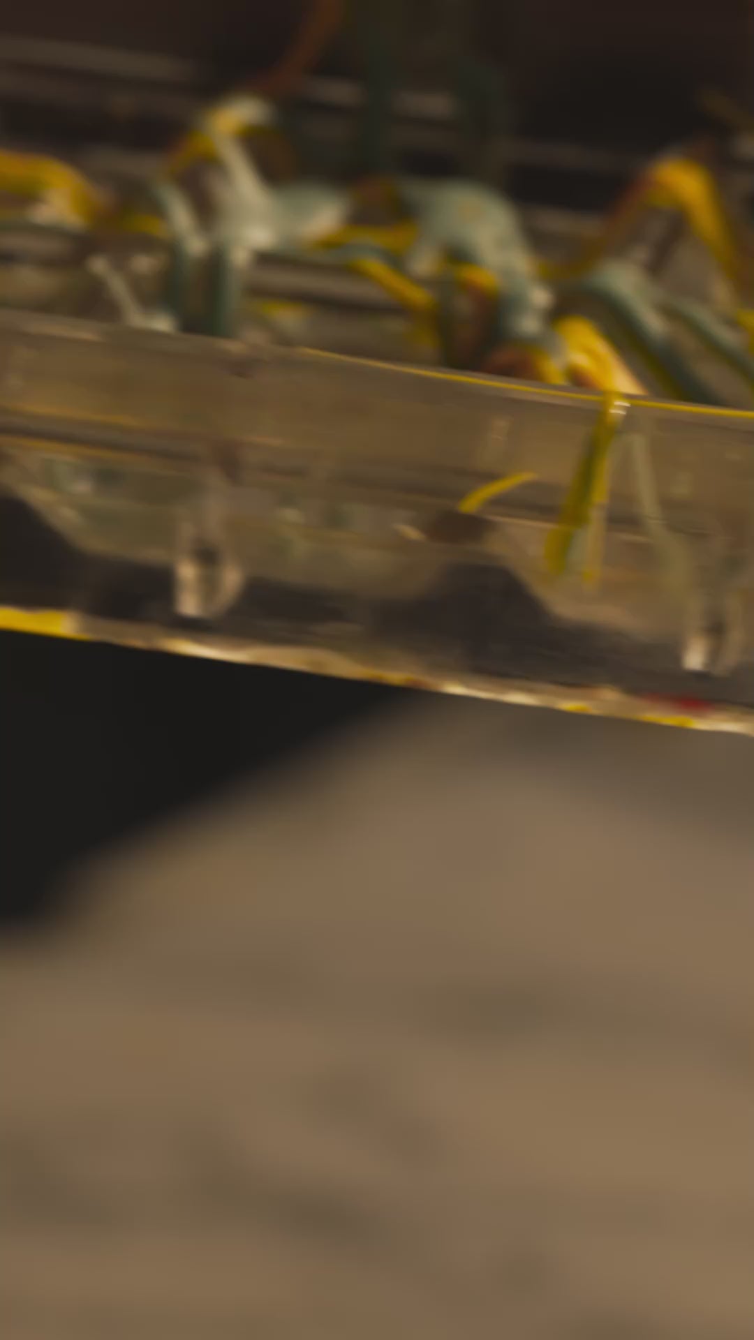 Dubai chocolate - 200g